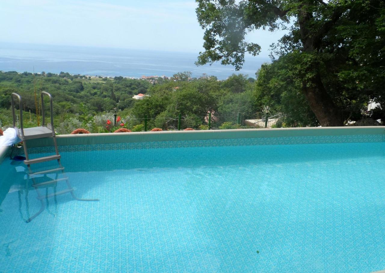 Pataki Guesthouse Petrovac Eksteriør bilde