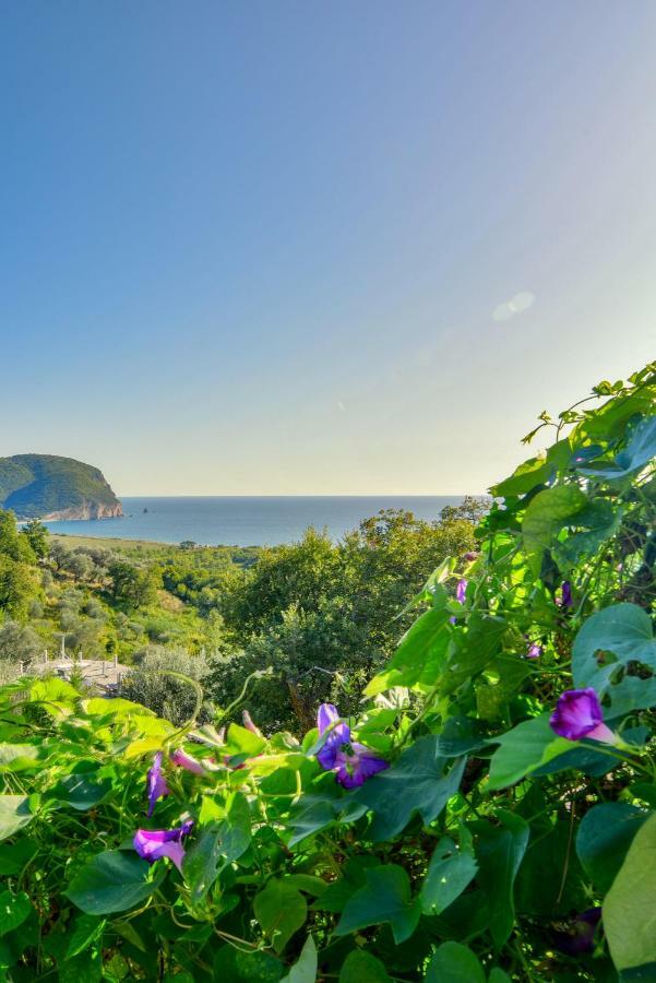 Pataki Guesthouse Petrovac Eksteriør bilde