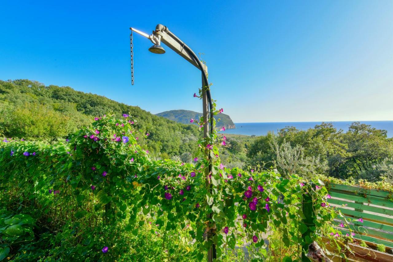 Pataki Guesthouse Petrovac Eksteriør bilde